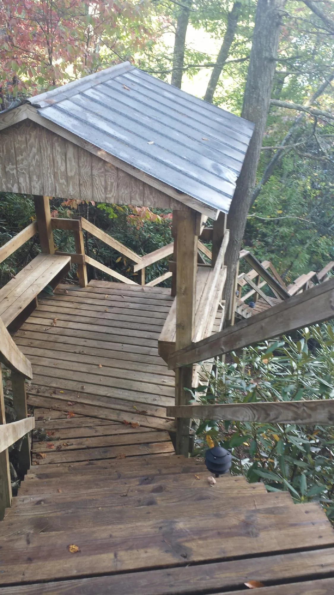 Metal roofed shelter over wooden steps on a wooded walkway — Skylight Repair & Installation work by our crew in Weippe